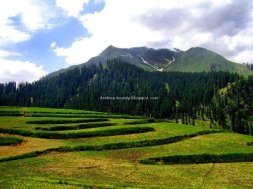 LATEST: Ammazing Facts About Pakistan! Lalazar
